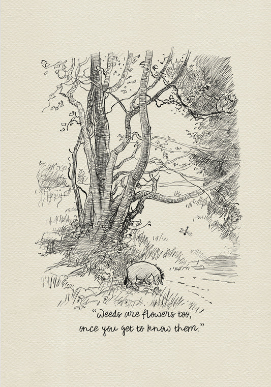 A black-and-white drawing depicting Eeyore the donkey standing under a tree. The donkey is looking down at the ground. The tree has many branches and leaves. The drawing is set against a light beige background. Underneath the drawing of Eeyore is the inscription: “Weeds are flowers too, if you get to know them better.”