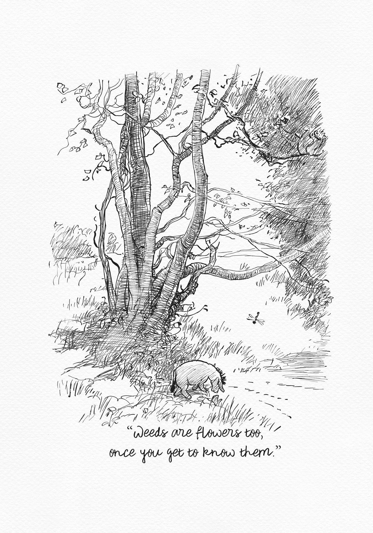 A black-and-white drawing depicting Eeyore the donkey standing under a tree. The donkey is looking down at the ground. The tree has many branches and leaves. The drawing is set against a light beige background. Underneath the drawing of Eeyore is the inscription: “Weeds are flowers too, if you get to know them better.”
