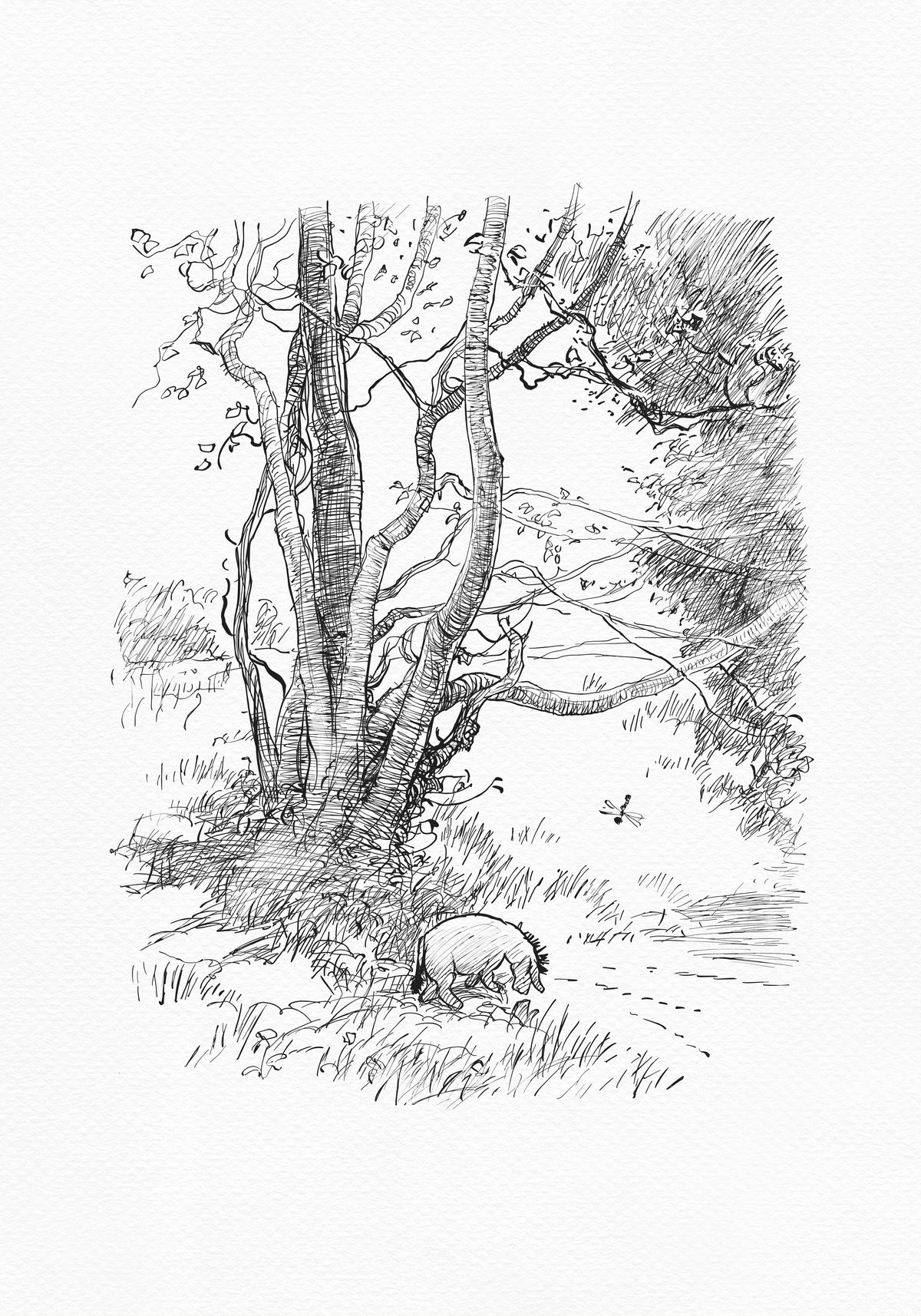 A black and white line drawing of Eeyore walking through a forest. The donkey is standing on a path and there are trees on either side of the path. The donkey is standing towards the right side of the image. There is a dragonfly flying in the air above the Eeyore.