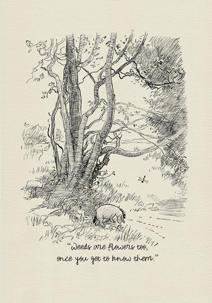 A black-and-white drawing depicting Eeyore the donkey standing under a tree. The donkey is looking down at the ground. The tree has many branches and leaves. The drawing is set against a light beige background. Underneath the drawing of Eeyore is the inscription: “Weeds are flowers too, if you get to know them better.”